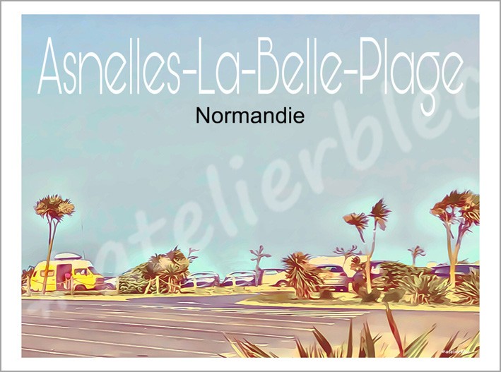 Affiche asnelles4