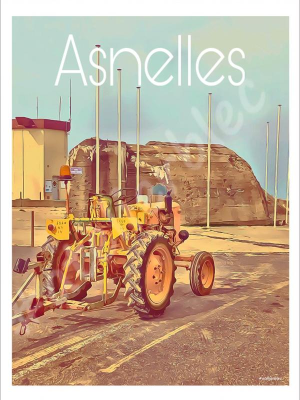 Affiche asnelles 11