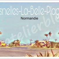 Affiche asnelles4