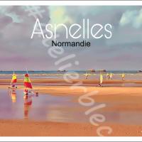 Affiche asnelles8