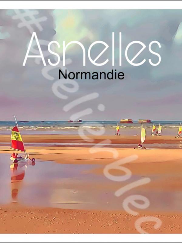 Affiche asnelles8