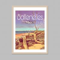 Affiche baie de sallenelles 14