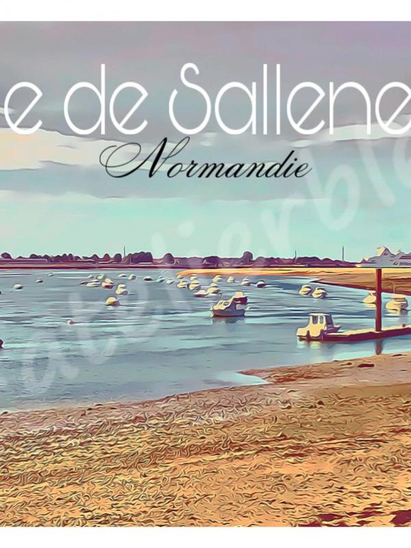 Affiche baie de sallenelles 2