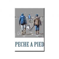 Pech13 1