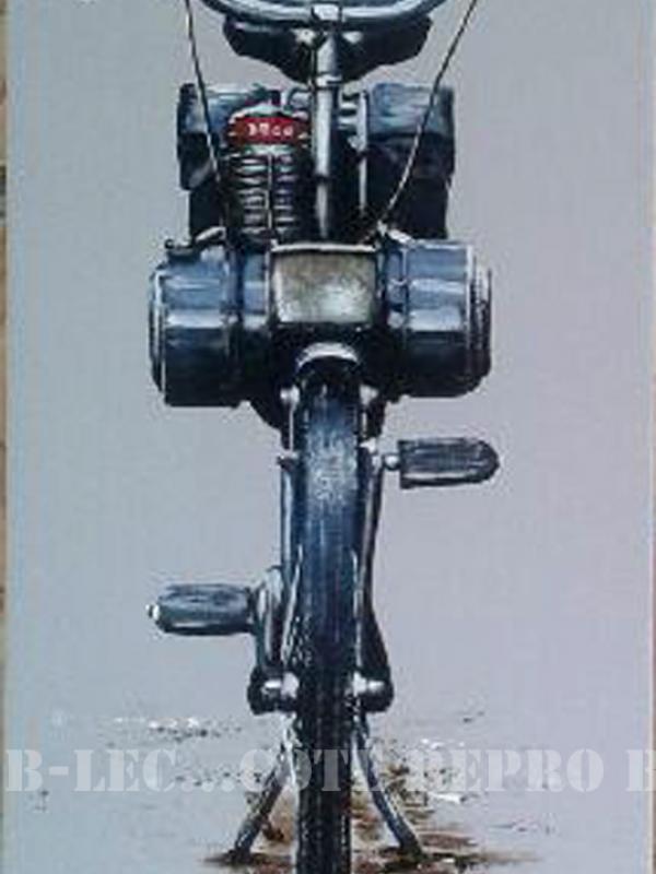 Solex